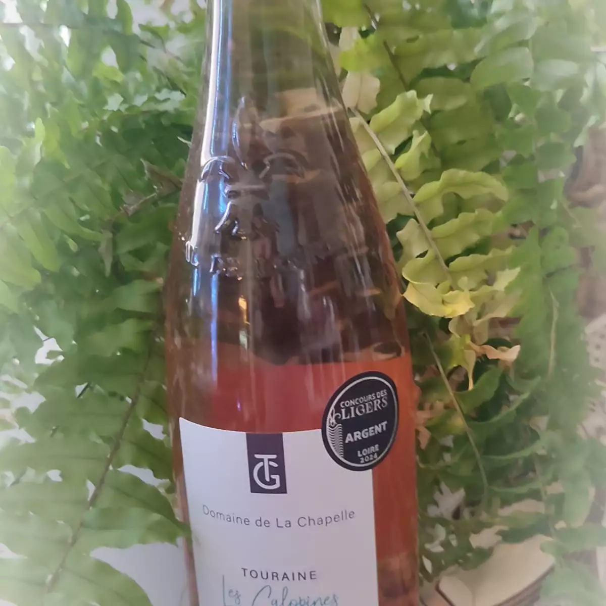 Touraine rosé, les Galopines, 6 bouteilles