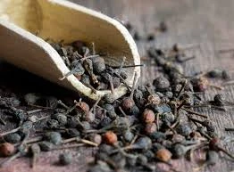 Poivre - Poivre sauvage