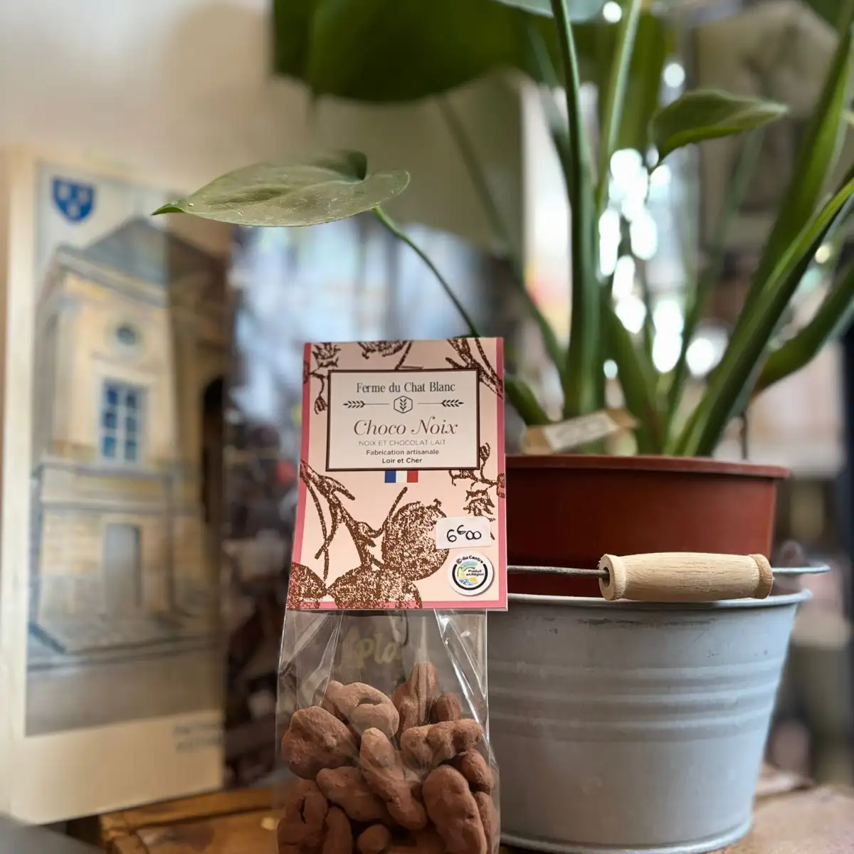 Choco Noix Bio