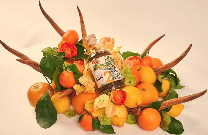 GIN N°2 : AGRUMES - O'SPIRIT