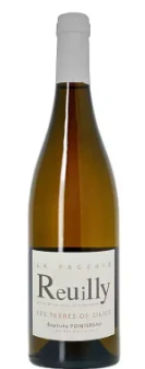 Reuilly (AOC) | Les Terres de Silice - Domaine de la Pagerie - Baptiste Pointereau - 2024