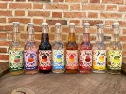 Sodas de Sologn soda – L’artisanat pétillant de notre région  en 75 cl