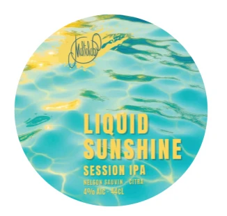Bière MALTOLAB - LIQUID SUNSHINE 44 cl en canette