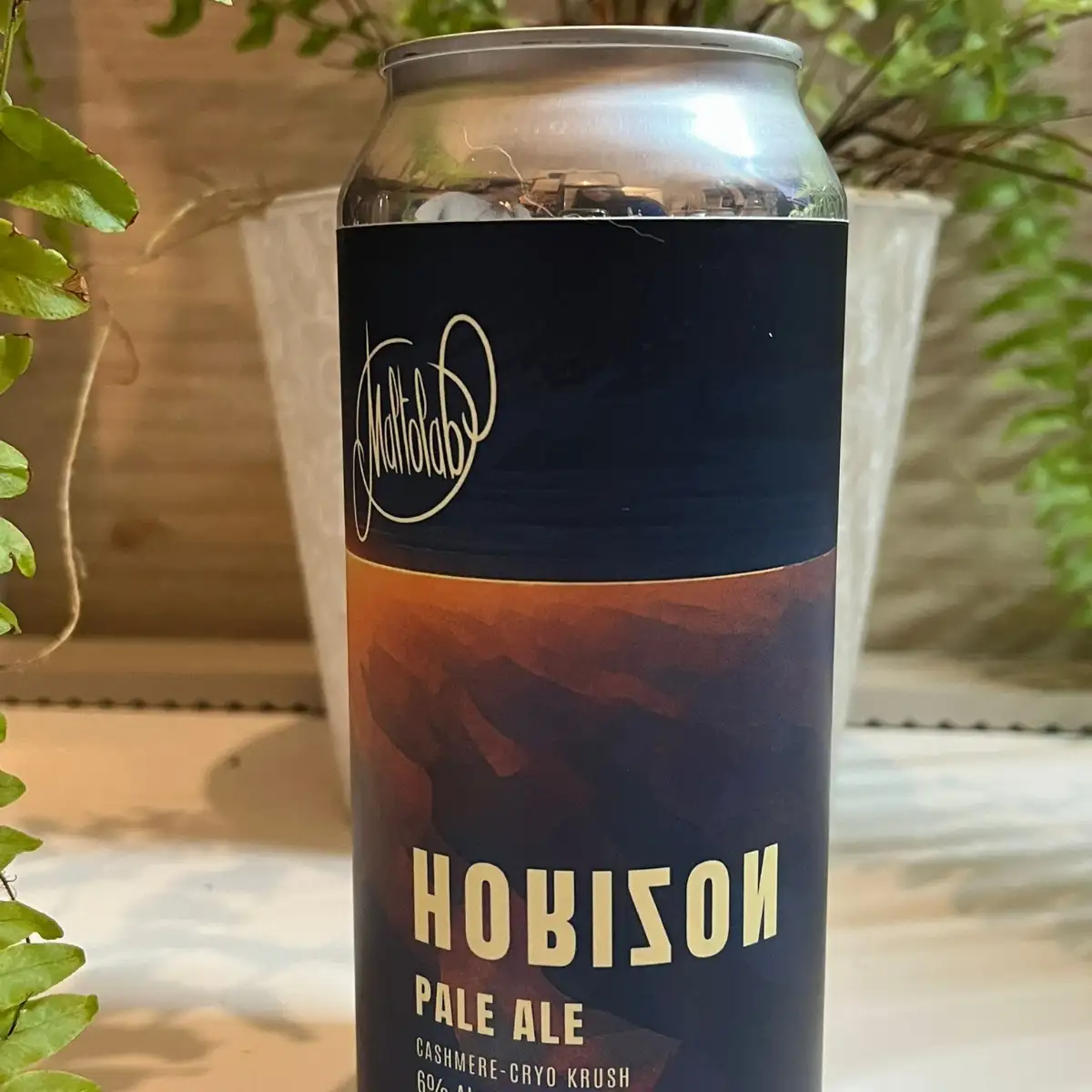 Bière MALTOLAB - HORIZON 44 cl en canette