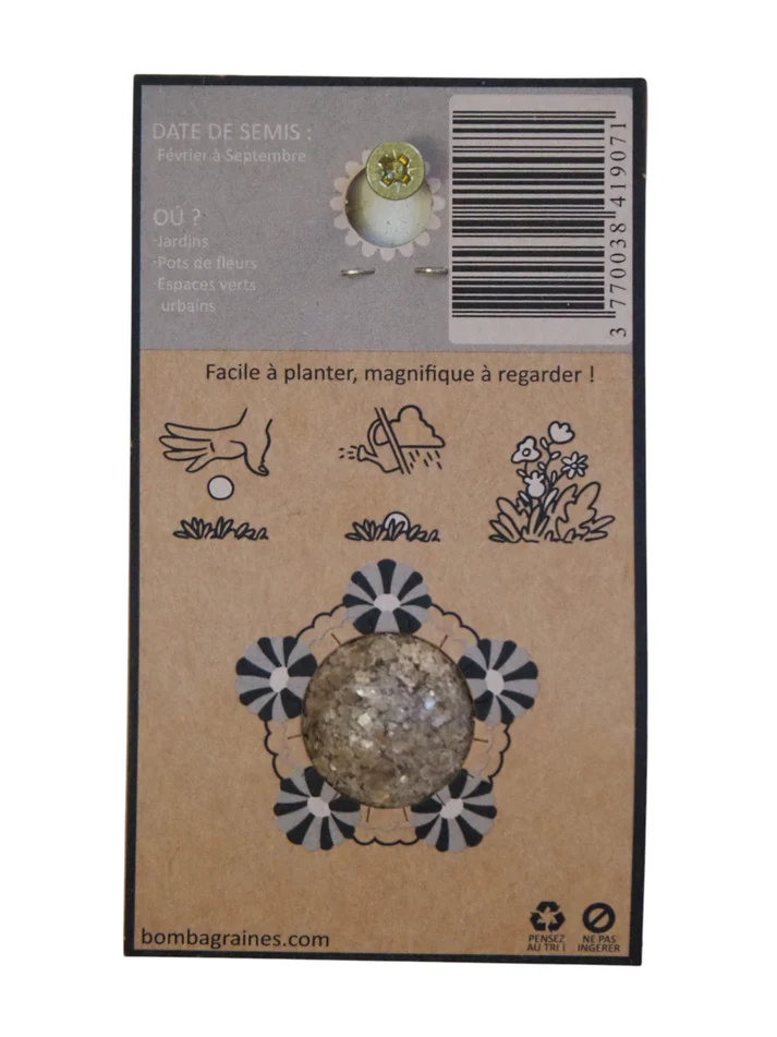 BOMBA GRAINES Pack de 1 - Bombes de fleurs mellifères - Nina BoutiK