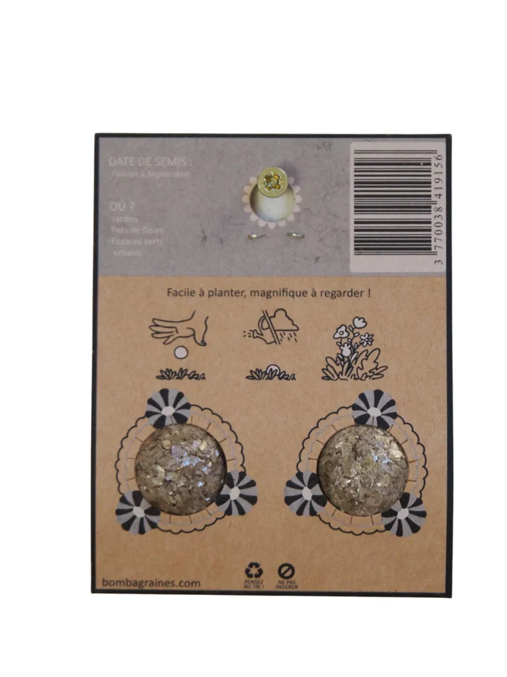 BOMBA GRAINES Pack de 2 - Bombes de fleurs mellifères - Nina BoutiK