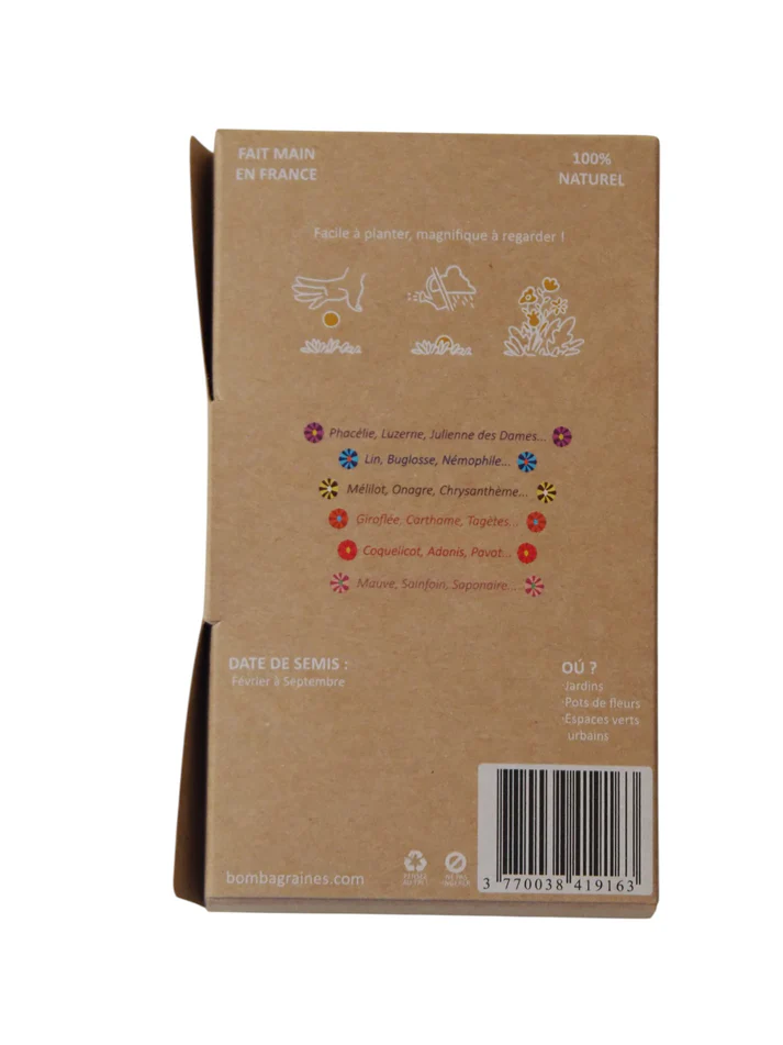 BOMBA GRAINES Pack de 6- Bombes de fleurs mellifères - Nina BoutiK